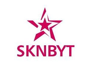acve (acve)さんの「SKNBYT」のロゴ作成への提案