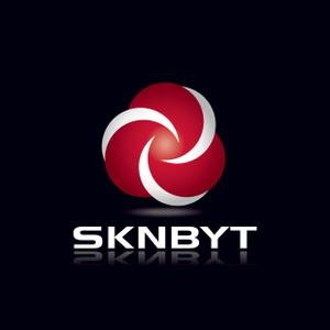 さんの「SKNBYT」のロゴ作成への提案