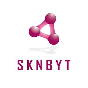 serve2000 (serve2000)さんの「SKNBYT」のロゴ作成への提案