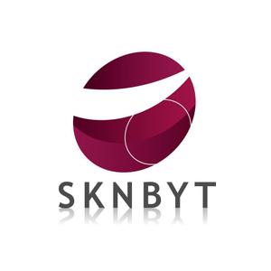 Branding (chikara406)さんの「SKNBYT」のロゴ作成への提案