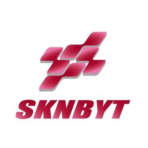 free13さんの「SKNBYT」のロゴ作成への提案