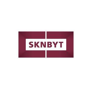 cozy_anさんの「SKNBYT」のロゴ作成への提案