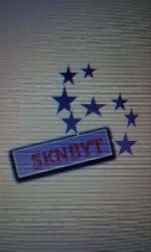 みっこ (amkjeep)さんの「SKNBYT」のロゴ作成への提案