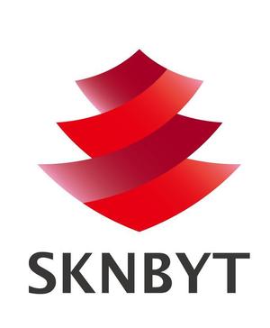 free13さんの「SKNBYT」のロゴ作成への提案