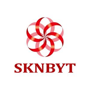 mabotyan (mabotyan)さんの「SKNBYT」のロゴ作成への提案