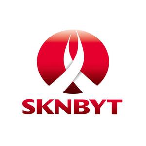 design wats (wats)さんの「SKNBYT」のロゴ作成への提案