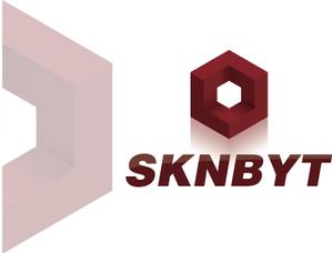 Caleb（ケイレブ） (SupernovaDesign)さんの「SKNBYT」のロゴ作成への提案