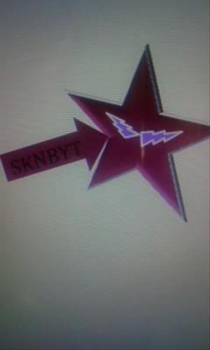 みっこ (amkjeep)さんの「SKNBYT」のロゴ作成への提案