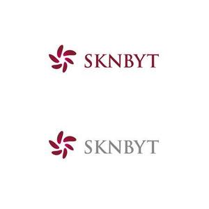 sasakid (sasakid)さんの「SKNBYT」のロゴ作成への提案
