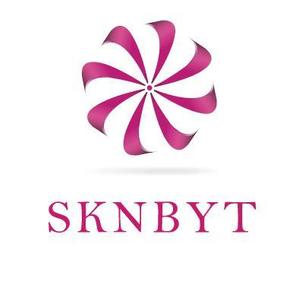 hs2802さんの「SKNBYT」のロゴ作成への提案