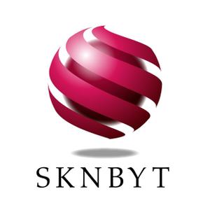 IDIOM (uztidiom)さんの「SKNBYT」のロゴ作成への提案
