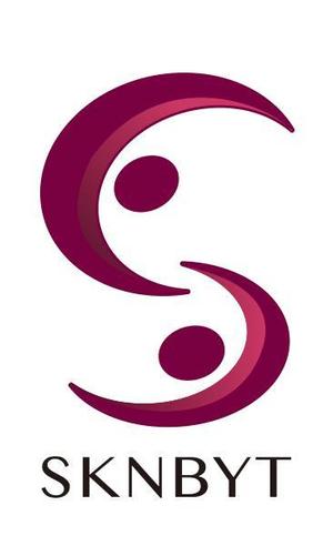 eitochさんの「SKNBYT」のロゴ作成への提案