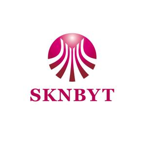 hdo-l (hdo-l)さんの「SKNBYT」のロゴ作成への提案