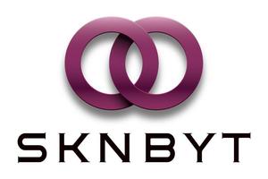 Paradisegroove (Paradisegroove)さんの「SKNBYT」のロゴ作成への提案