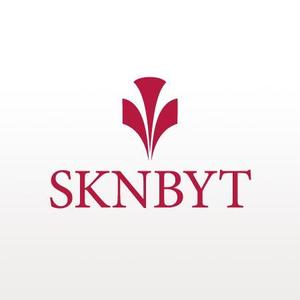 okma48さんの「SKNBYT」のロゴ作成への提案