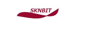 skip5さんの「SKNBYT」のロゴ作成への提案