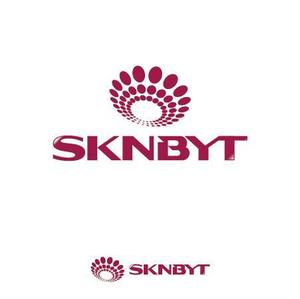 graph_fixさんの「SKNBYT」のロゴ作成への提案
