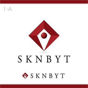 interista (interista)さんの「SKNBYT」のロゴ作成への提案
