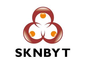 KYoshi0077 (k_yoshi_77)さんの「SKNBYT」のロゴ作成への提案