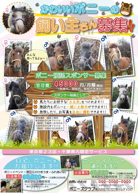 ちもり【ホームページ制作】 (chimori_1220)さんの（急募！）かわいいポニー１０頭の飼い主さんの募集広告です。A４版カラーです。への提案