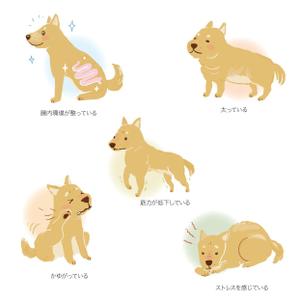 ARCH design (serierise)さんの「犬向け腸内検査」のLPで使用するイラストへの提案