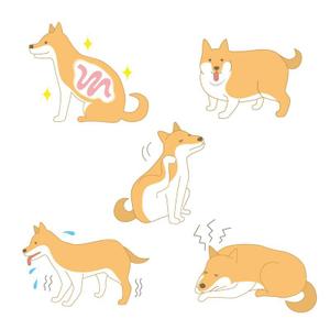 palpa-l (palpa-l)さんの「犬向け腸内検査」のLPで使用するイラストへの提案