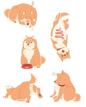ニッタ (mayora)さんの「犬向け腸内検査」のLPで使用するイラストへの提案
