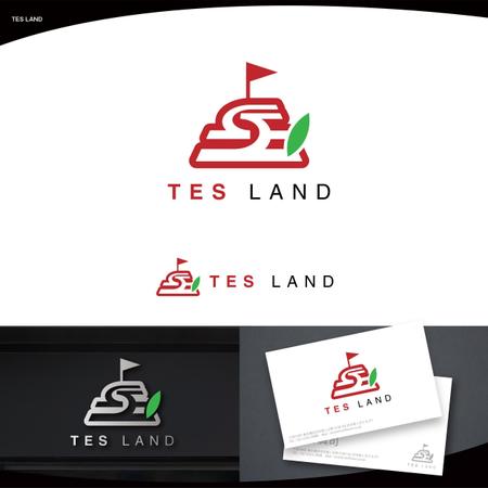 脇　康久 (ワキ ヤスヒサ) (batsdesign)さんの「TES LAND合同会社」のロゴへの提案