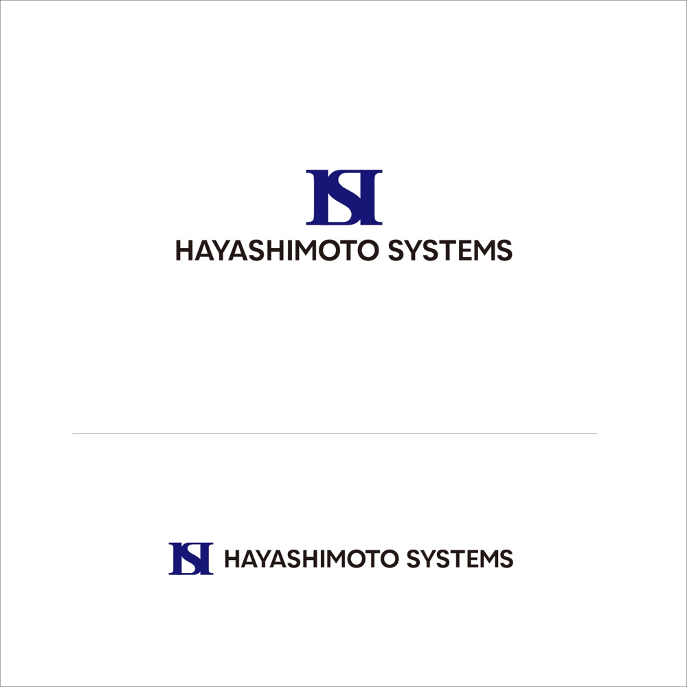hayashimotoS1.jpg