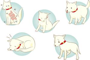 すぎもと樹 (MizCedar)さんの「犬向け腸内検査」のLPで使用するイラストへの提案