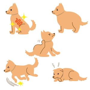 あーまん (aaman)さんの「犬向け腸内検査」のLPで使用するイラストへの提案