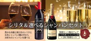 aine (aine)さんのワイン販売サイトでの新しいお得商品の案内バナーへの提案