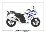 speedster (speedster)さんのバイク（SUZUKI Bandit1250F）の外装（ステッカー）デザインの仕事への提案