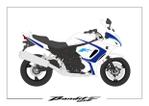 speedster (speedster)さんのバイク（SUZUKI Bandit1250F）の外装（ステッカー）デザインの仕事への提案