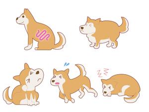 株式会社イーネットビズ (e-nets)さんの「犬向け腸内検査」のLPで使用するイラストへの提案