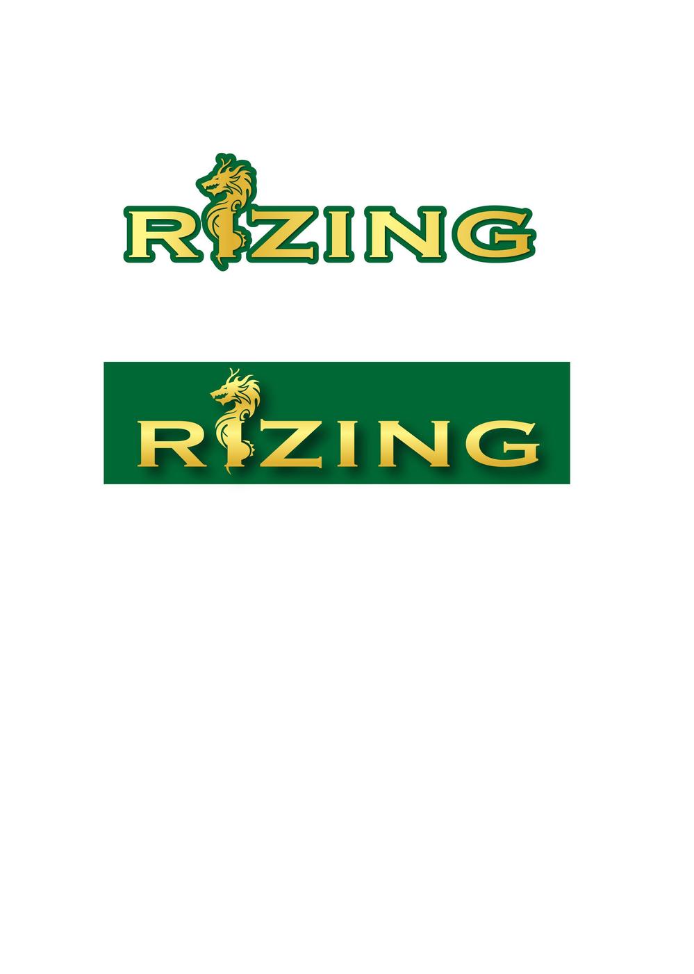 RIZING_アートボード 1.jpg