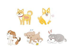 Kazuaki Iwamoto (KazuakiIwamoto)さんの「犬向け腸内検査」のLPで使用するイラストへの提案