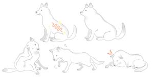 cooj5さんの「犬向け腸内検査」のLPで使用するイラストへの提案