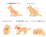 なないろ工房 (nanapoke)さんの「犬向け腸内検査」のLPで使用するイラストへの提案