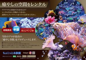 北澤勝司 (maido_oo_kini)さんの水槽設置メンテナンス（ちょこっと水族館）のチラシへの提案