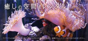 水島八重 (y-8-m)さんの水槽設置メンテナンス（ちょこっと水族館）のチラシへの提案