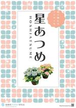 07kbさんの母の日用アジサイ鉢物品種ポスターデザインへの提案
