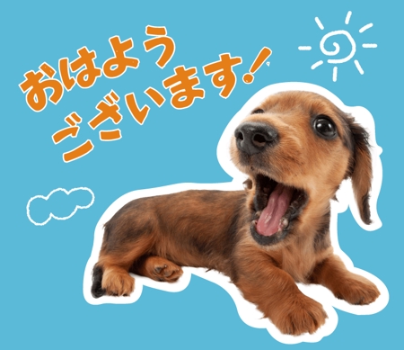 松田 (Amberun)さんの【LINEスタンプ】犬の写真スタンプ作成（24個）への提案