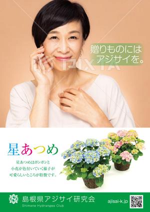 シークレットデザイン ()さんの母の日用アジサイ鉢物品種ポスターデザインへの提案