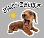sio (NaCl)さんの【LINEスタンプ】犬の写真スタンプ作成（24個）への提案