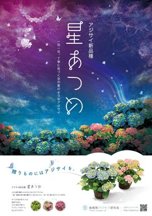 t_cassis (triple_cassis)さんの母の日用アジサイ鉢物品種ポスターデザインへの提案