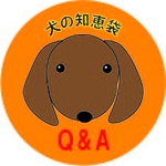 かにゃ (midoriirodayo)さんのブログサイト「犬の知恵袋」ロゴへの提案