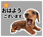 333☆J(ﾐｻﾐ ・ｼﾞｪｲ） ()さんの【LINEスタンプ】犬の写真スタンプ作成（24個）への提案