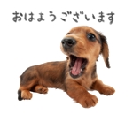 shimashimaco (shimashimaco)さんの【LINEスタンプ】犬の写真スタンプ作成（24個）への提案