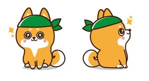 sachi (sachi-365)さんのかわいい柴犬（ワンちゃん）の企業イメージキャラクターデザインを募集への提案